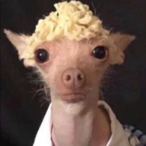 Meet your Posher, Mary